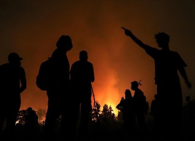 Жертвами лесных пожаров в Алжире стали десятки человек