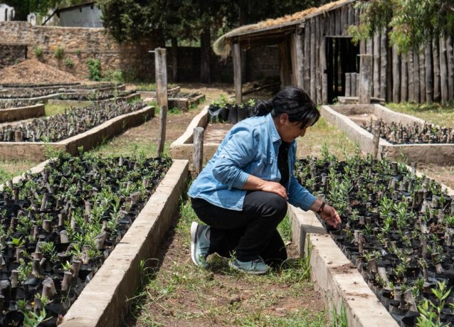 Спасение семян и жизней: Тунисские женщины говорят об изменениях климата