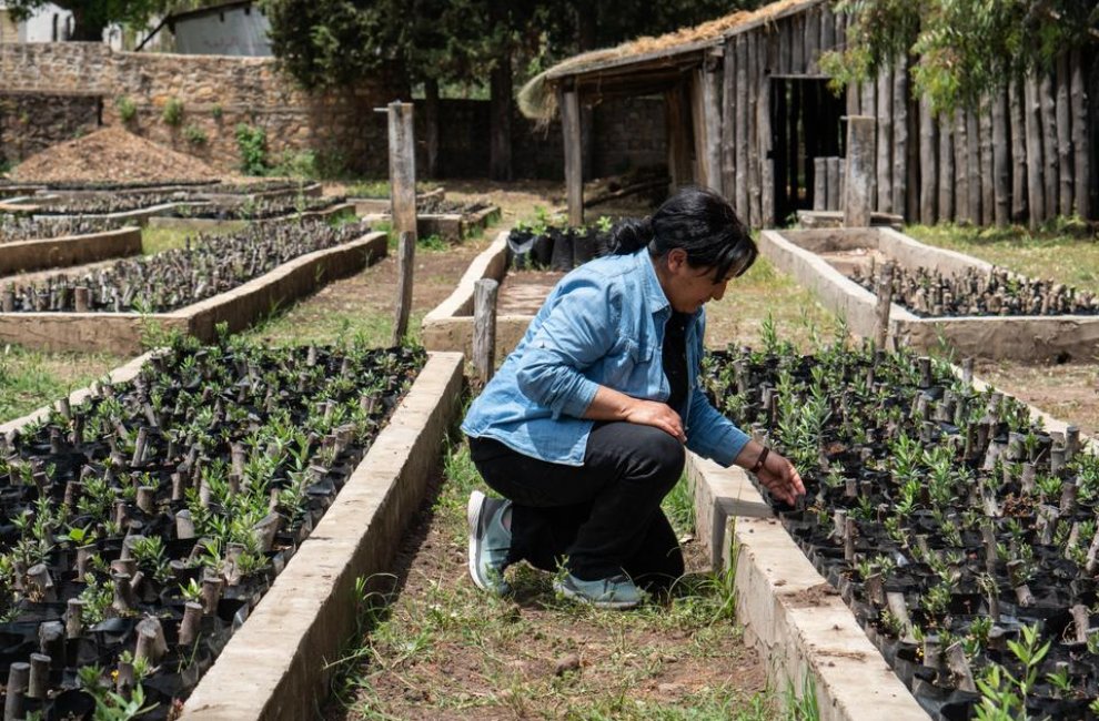 Спасение семян и жизней: Тунисские женщины говорят об изменениях климата